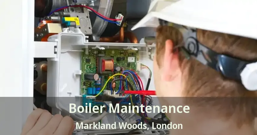 Boiler Maintenance Markland Woods, London - ON