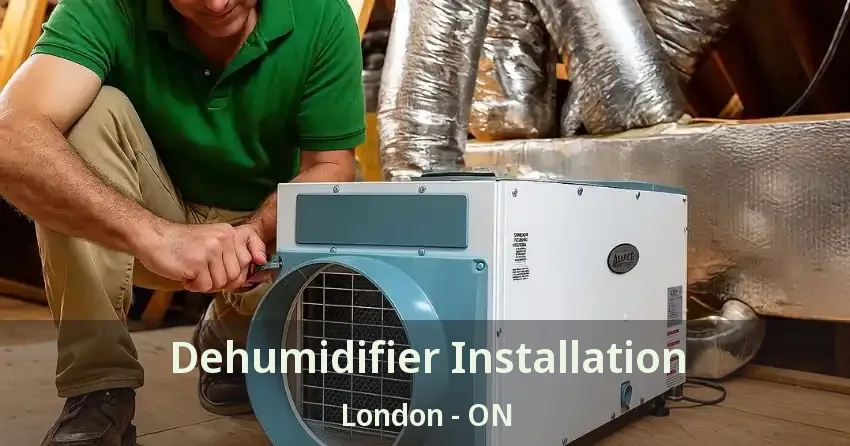 Dehumidifier Installation London - ON