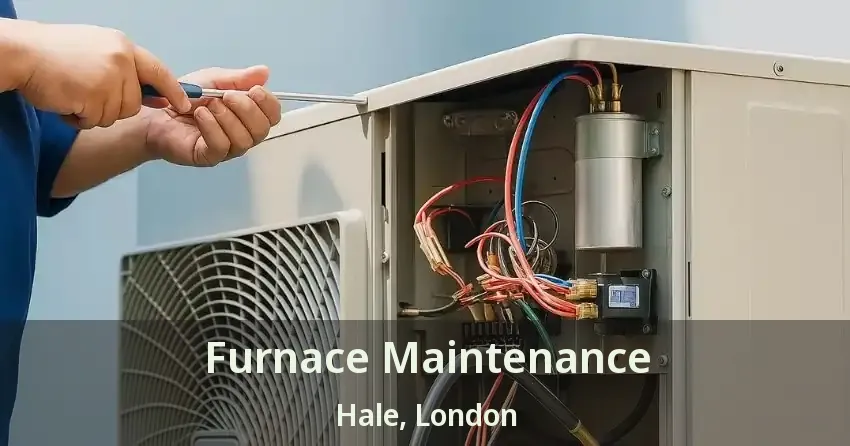 Furnace Maintenance Hale, London - ON