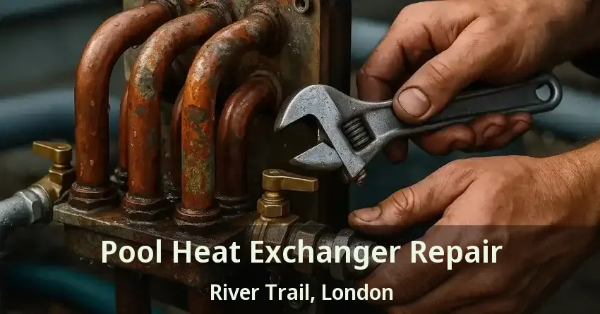 Pool Heat Exchanger Repair River Trail, London - ON