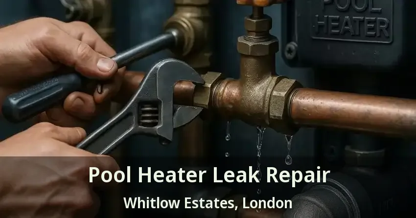Pool Heater Leak Repair Whitlow Estates, London - ON