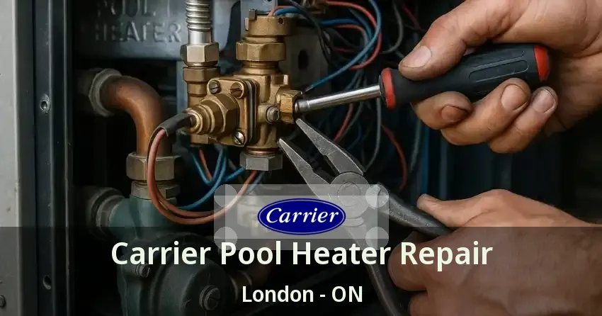 Carrier Pool Heater Repair London - ON